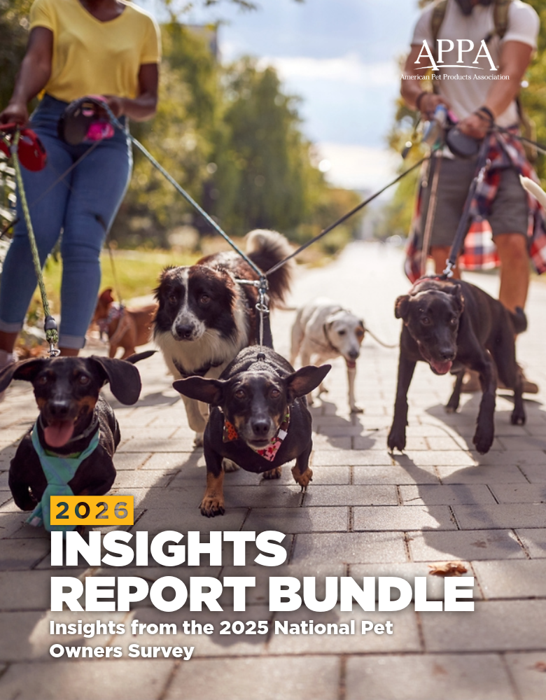 2026 Insights Reports Bundle (8 Reports) (Copy)